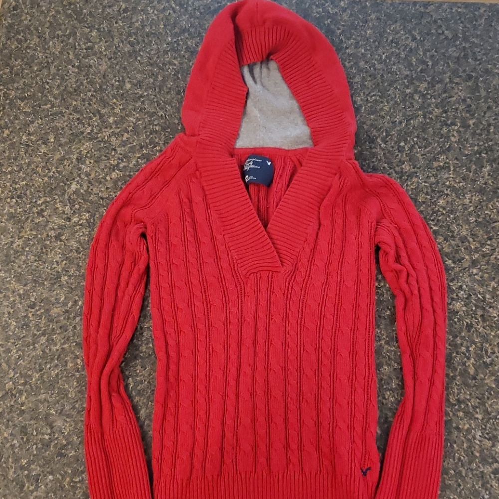 American Eagle Hooded Sweater